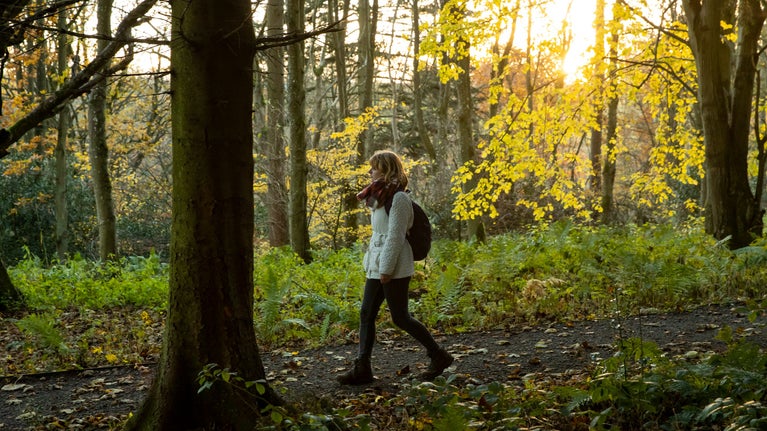 Women walking on a path through woodland tree trunk in foreground